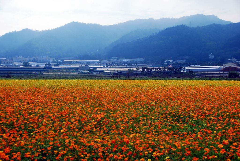清新溫泉